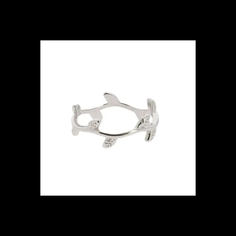 Bague argentee, gui