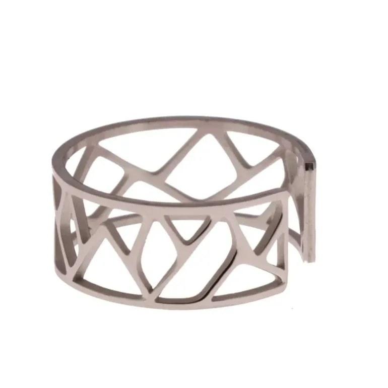 Bague argentee, Irvine