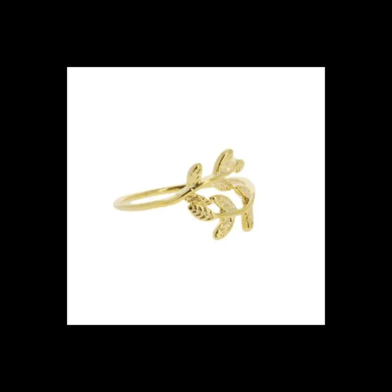 Bague doree, Caher