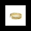 Bague doree, Catalpa
