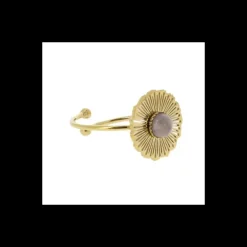 Bague doree, Clonbrien